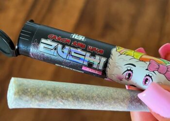 Coi Leray together with Ten Co launches the first cannabis strain ‘Pink Zushi’.